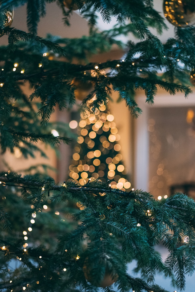 Christmas tree with string lights