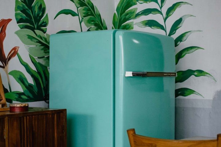 blue refrigerator beside green-leafed plant